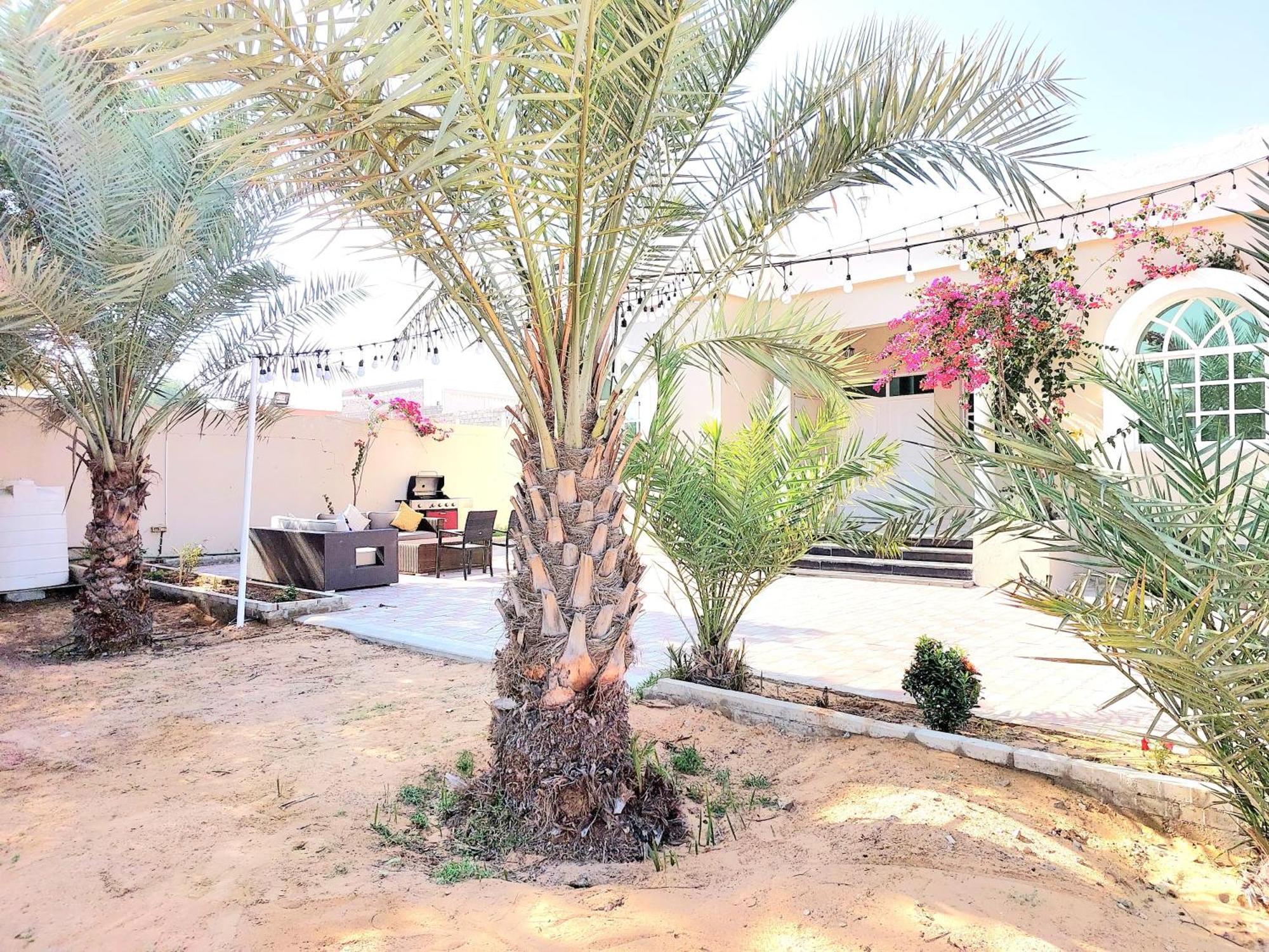 Villa 9 Palms Beach Ras al-Khaimah Exterior foto